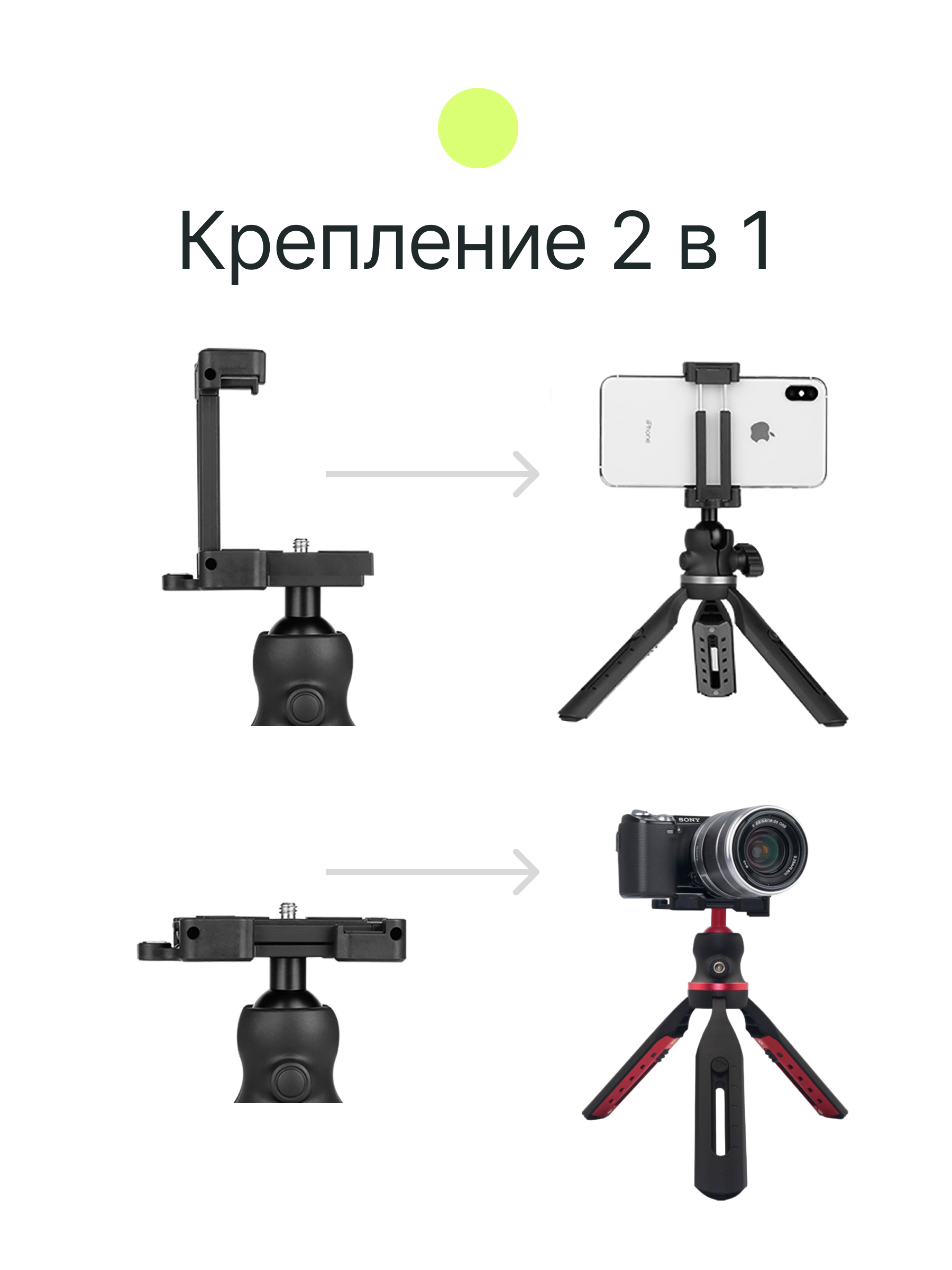 Штатив компактный RayLab MT-SCB с головой и держателем для смартфона -  купить по ценам бренда на официальном сайте | Характеристики, отзывы и  описания